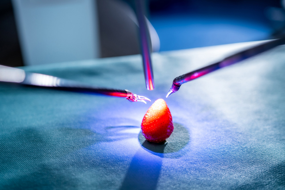 Beispiel des OP-Roboter Da Vinci an einer Erdbeere